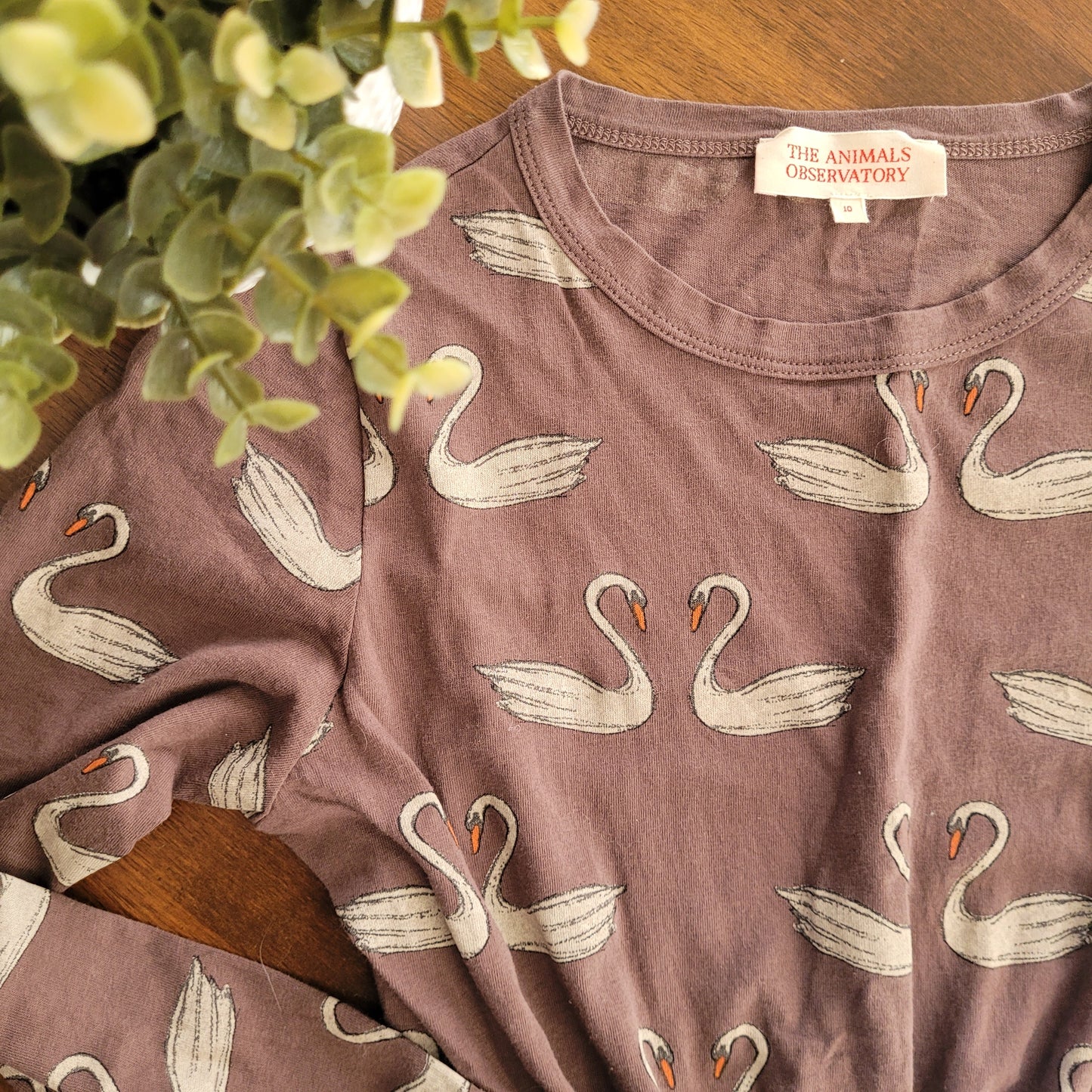 Robe | The Animals observatory | 10 ans