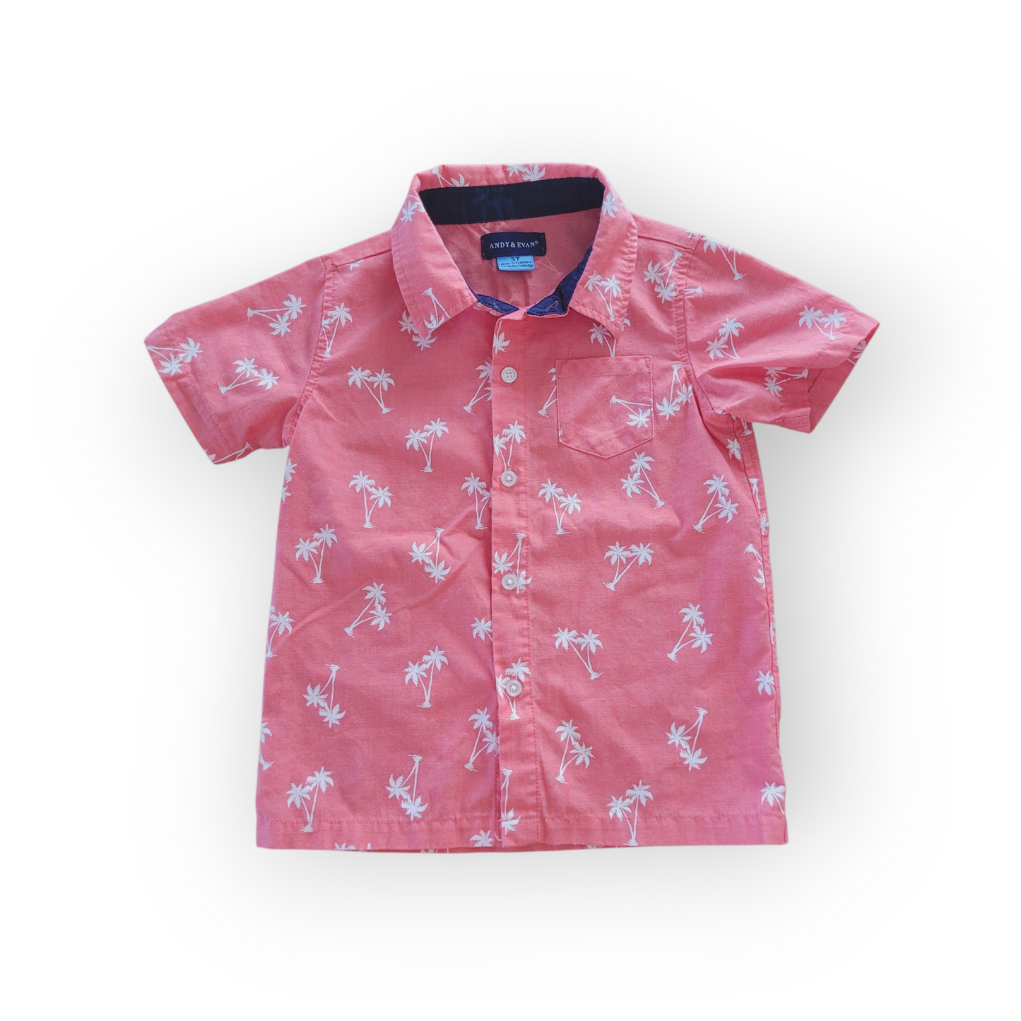 Chemise | Andy & Evan | 3T