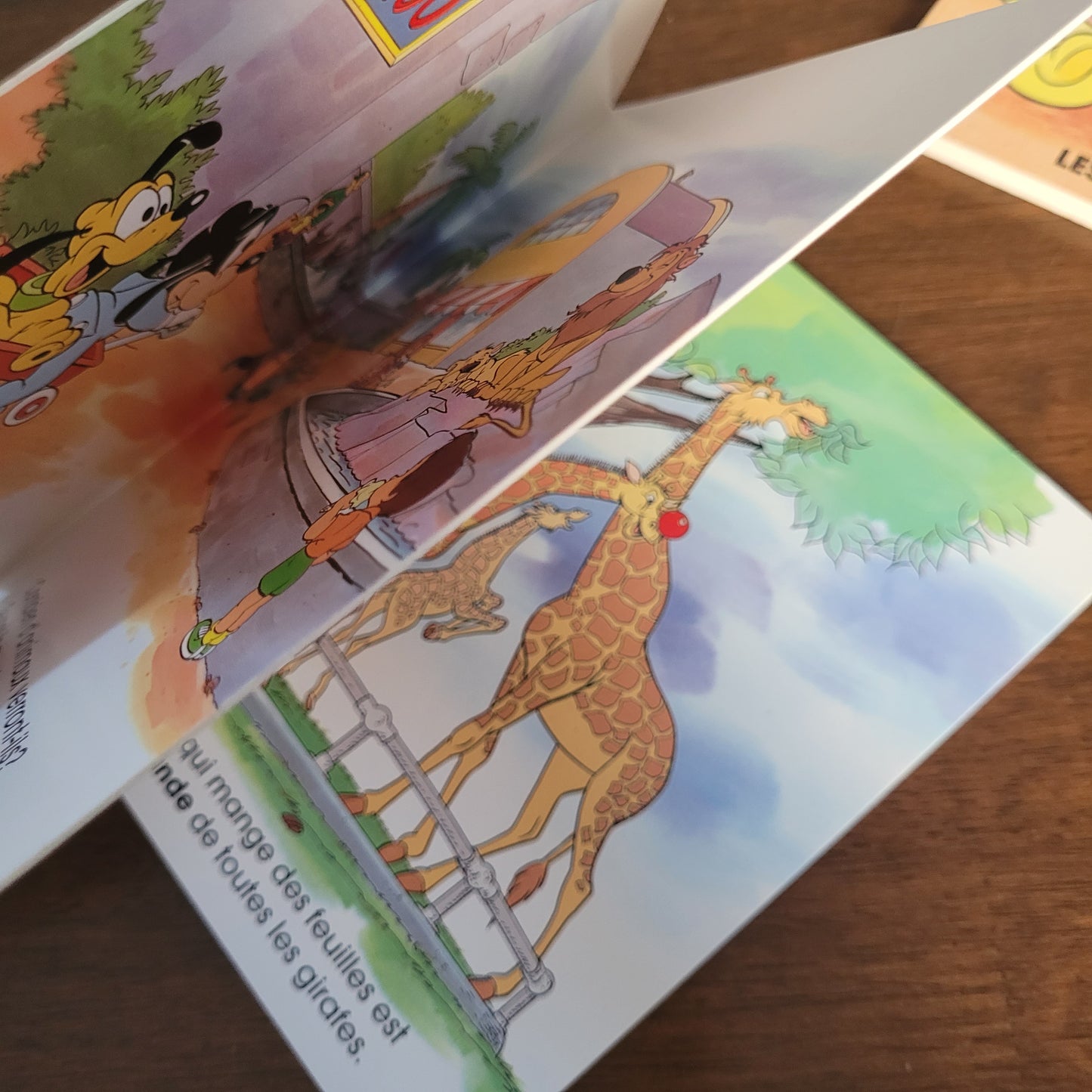 LIVRE | Disney | Une journée au zoo