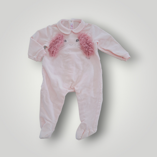 Ensemble | Il gufo | 12 mois