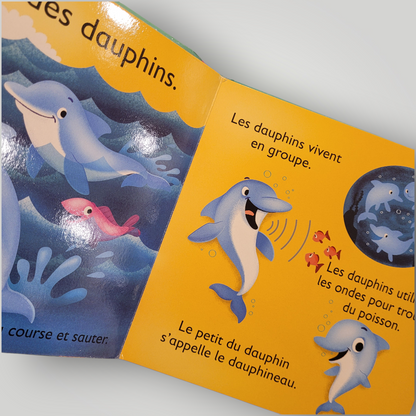 LIVRE |  Zoom sur les animaux de l'OCÉAN