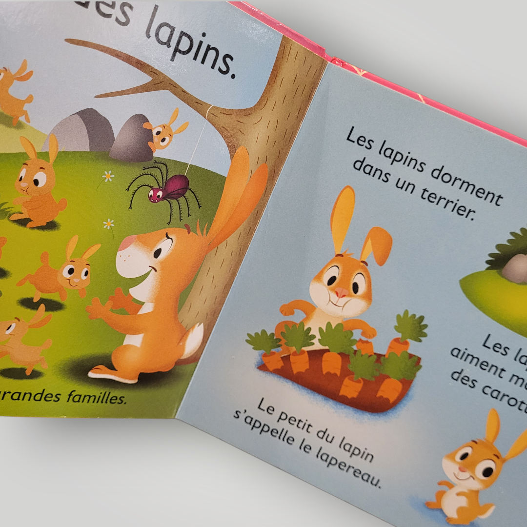 LIVRE |  Zoom sur les animaux du JARDIN