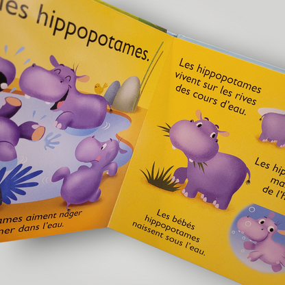 LIVRE |  Zoom sur les animaux du SAFARI