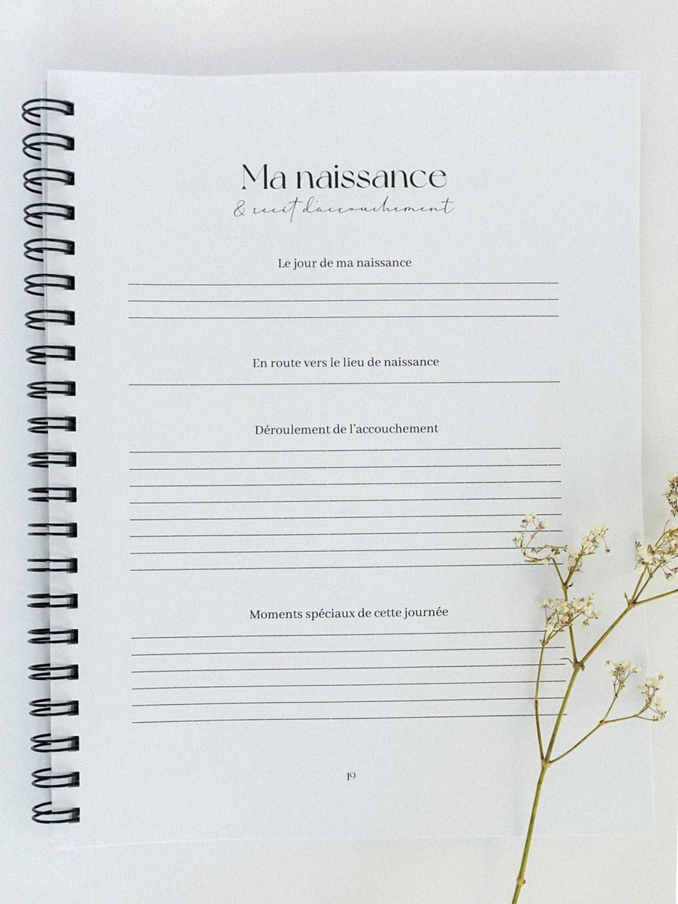 Ta petite histoire | Livre de bébé et grossesse 0 à 5 ans | Jardin d'Azur