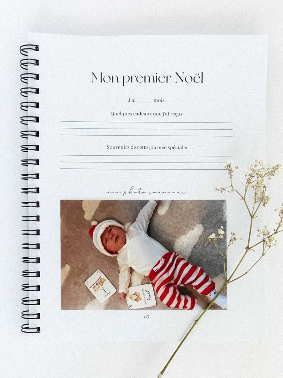 Ta petite histoire | Livre de bébé et grossesse 0 à 5 ans | Oursons