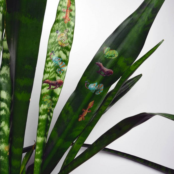 TATOUAGE TEMPORAIRE | LES LÉZARDS SOURIANTS