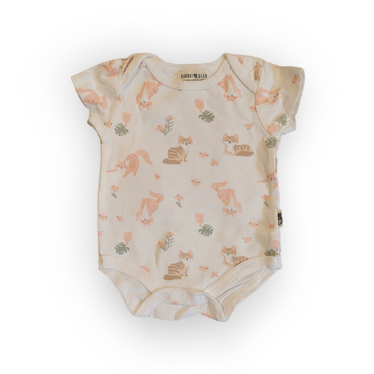 Caches-couches (2) | Rabbit Bear | 3-6 mois