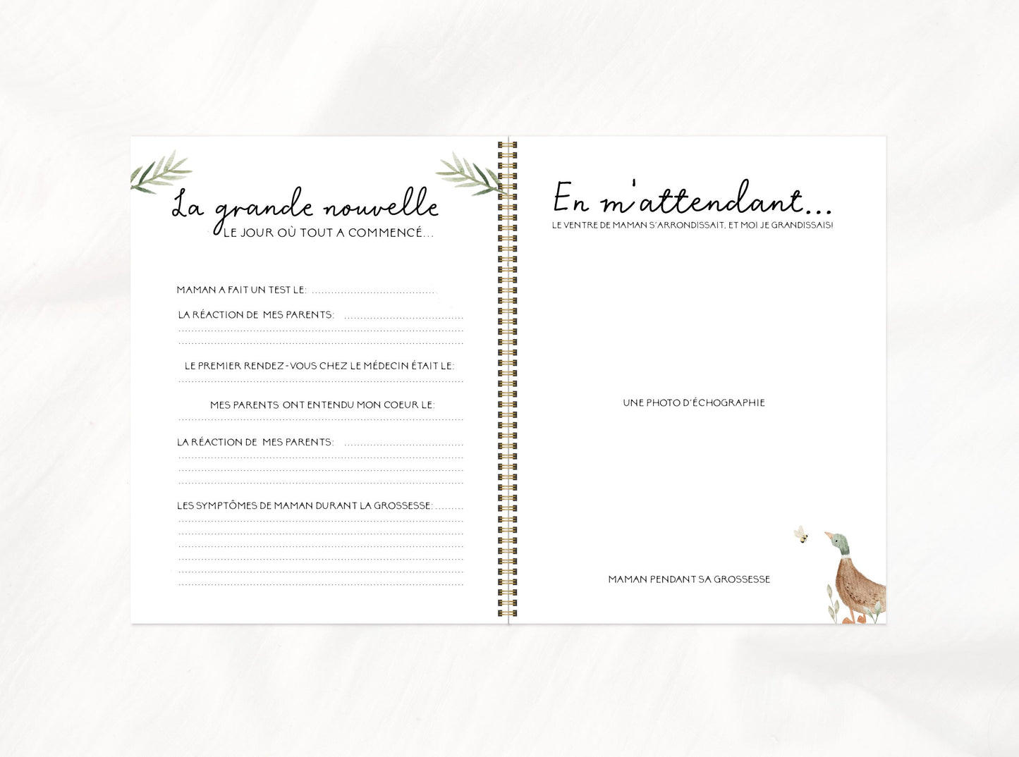 Livre de bébé | Sous la pluie