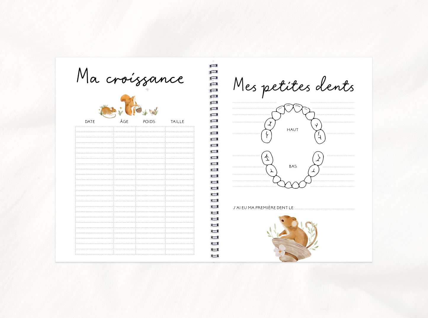 Livre de bébé | Petits copains de la forêt